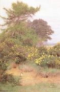 George Marks At the Edge of Shere Heath (mk46) Germany oil painting artist